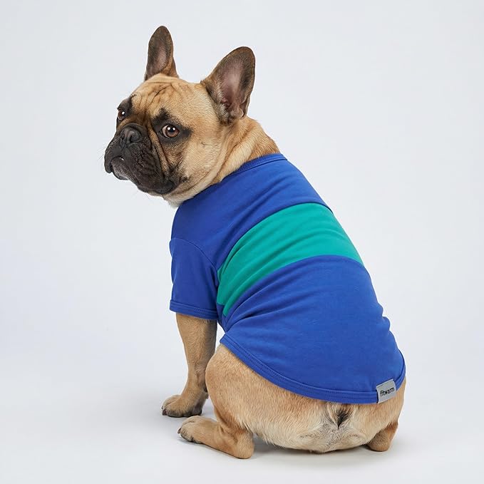 Fitwarm 3 Pack Color Block Striped Dog Shirt, Summer Dog Clothes for Small Dogs, Breathable Lightweight Pet Tshirt with Sleeves, Cat Outfit, Royal Blue, Gray, Teal, XL