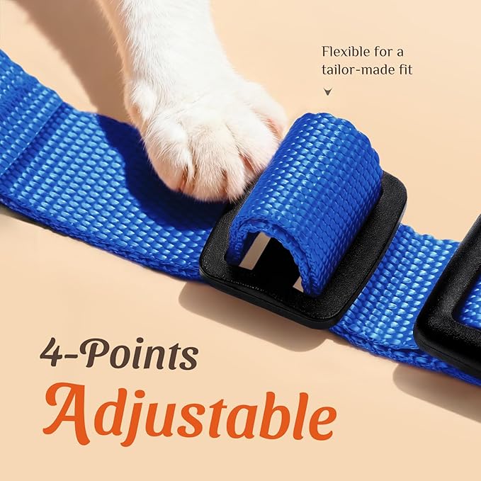 Dooradar Cat Harness and Leash Set, Escape Proof Safe Adjustable Kitten Vest Harnesses for Walking, Easy Control Soft Breathable Mesh Jacket with Reflective Strips for Cats, Blue, M