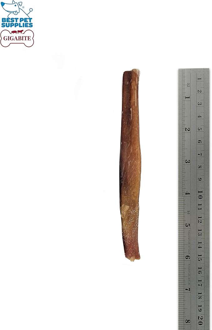 GigaBite Bully Sticks for Dogs All Natural Beef Pizzle Dog Chews, Odor & Rawhide Free Dog Treats, Long Lasting High Protein Chews Digestible Dental Dog Treat - Sticks (Regular 6"), Pack of 8