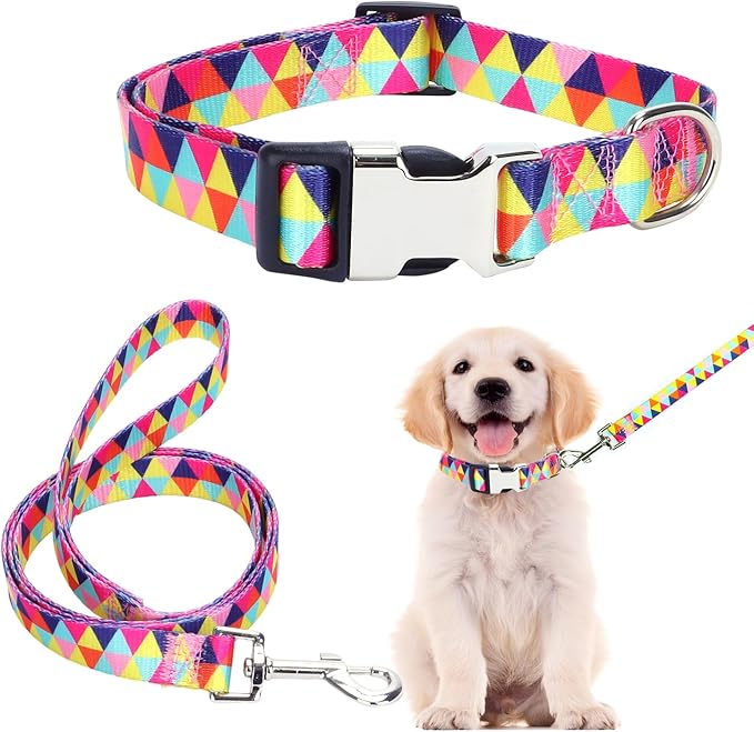 Dog Collar and Leash Set, Pretty Design Print Colorful Geometric Triangle Pet Collars for Small Medium Large Breed Female Dogs Girls Cats, M