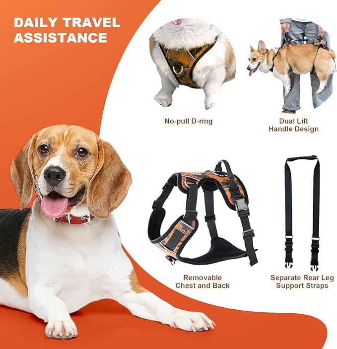 Dog Lift Harness, Dog Lift Sling Carrier with Handle & Shoulder Sling, Support Harness for Rear Back Legs Helps,Disabled,Arthritis,Joint Injuries,Paralysis Up Stairs（Orange,Large）