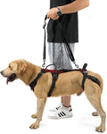 COODEO Mobility Dog Lift Harness, Support Sling & Walking Sling for Dogs, Pet Rear Leg Rehabilitation Support Vest, Dog Carrier for Senior Dogs with Joint Injuries, Arthritis, Up Stair (Red, L)