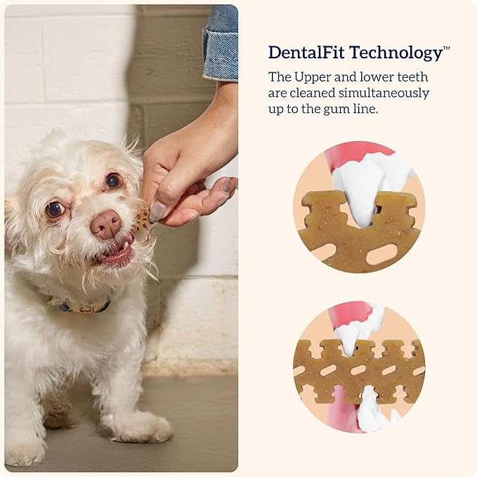 Groovies Senior Large Dog Dental Chews for Dogs, Patented DentalFit Technology for Plaque & Tartar Support, Flexible Texture for Easy Chewing, Chicken Flavor, USA Manufactured, 25–50 lb Dogs,6 Count