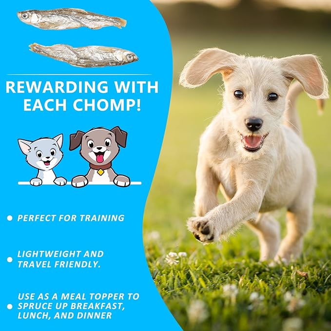 Minnows Dog Treats, 100% Natural Dried Minnows for Dog & Cat, Air Dried, Grain-Free, High-Protein, Premium Quality Cat & Dog Treats 8.5 oz