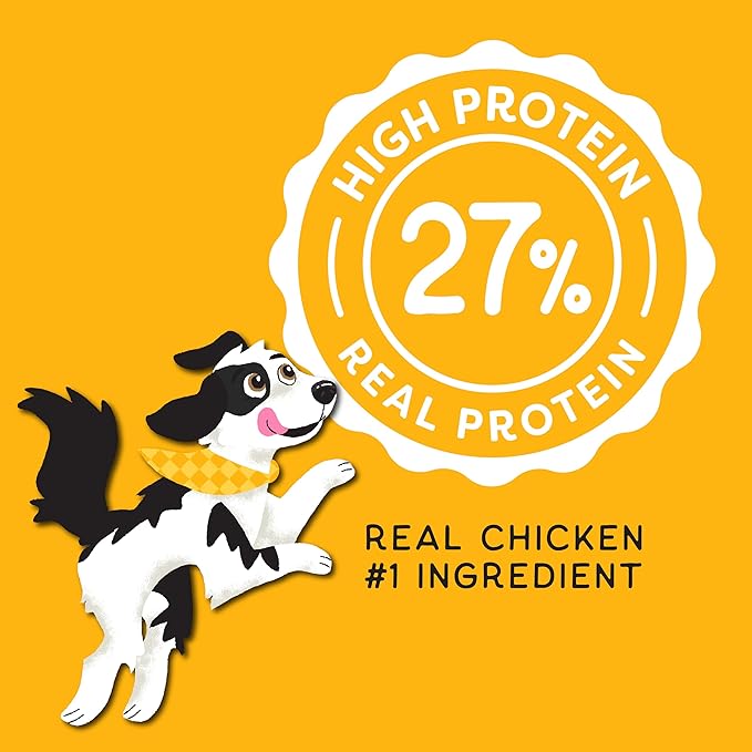 CHAMPS Soft Healthy Dog Treats for Joint Support & Training Snacks Made with Glucosamine, Chondroitin Sulfate & New Zealand Green Mussel - Savory Chicken - 16 oz