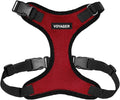 Voyager Step-in Pet Harness - All Weather Mesh, Adjustable Step in Harness for Cats and Dogs by Best Pet Supplies - Red/Black Trim, M