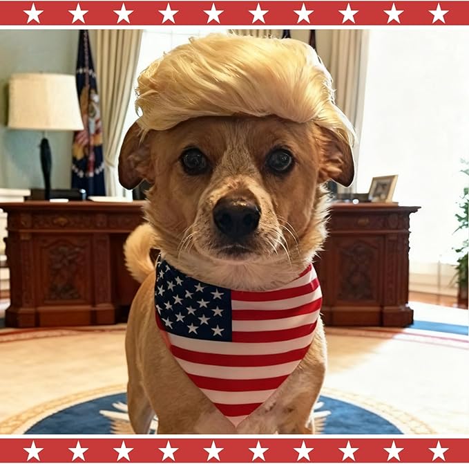 Pet Costume Dog Wig, Dog Clothes with Collar & Tie Head Wear Apparel Toy for Halloween, Christmas, Parties, Festivals (Cat Brown Wig)