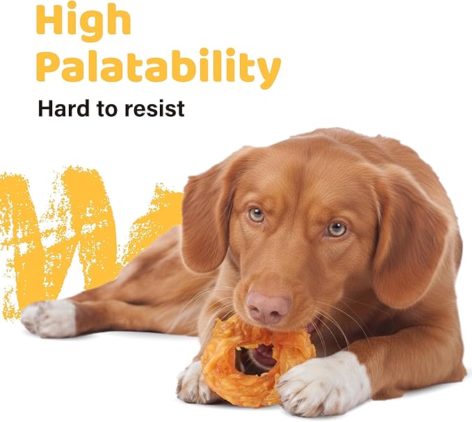 iPaw Turkey Tendons for Dogs 20 Pcs Bulk Pack, 100% Turkey and US Sourced Raw Material, Hypoallergenic, All Natural Human Grade Puppy Chew, Rawhide Alternative Dog Treats, Ring (Medium)