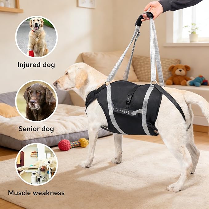 Dog Lift Harness for Senior & Injured Pets, Full Body Support Rehabilitation Dog Sling Carrier with Handles, Front/Rear Leg Assist for Arthritis, Hip Dysplasia & Post-Surgery Recovery XL
