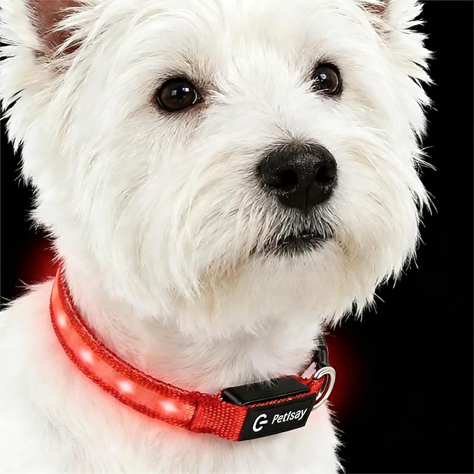 LED Dog Collar for XSmall Dogs & Toy Breeds – USB-C Rechargeable Light Up Dog Collar, Fully Waterproof Adjustable Glow Collar for Night Walking & Safety(Red,XS)