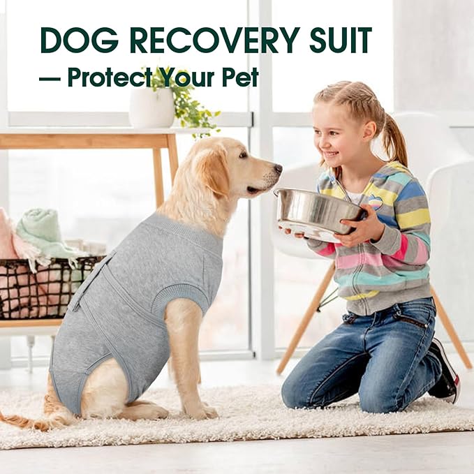 Kuoser Dog Recovery Suit for Male Dogs, Post-Surgery Bodysuit for Spay Neuter, Dog Onesie After Surgery, Anti-Licking Pet Surgical Recovery Suit, Gray XS