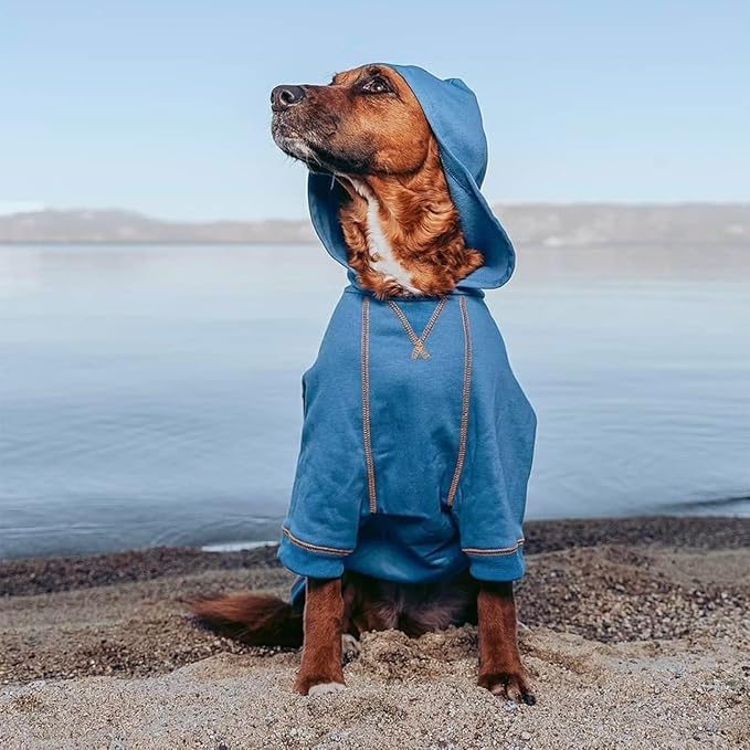 Blueberry Pet Essentials Soft & Comfy Better Basic Cotton Blend Dog Hoodie Sweatshirt in Alaskan Blue, Back Length 24", Pack of 1 Jacket for Dogs