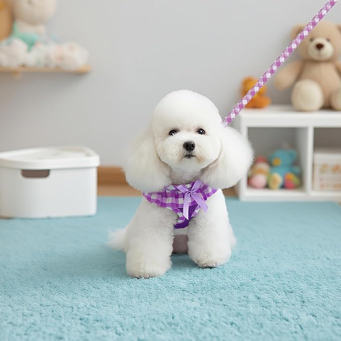 EXPAWLORER Cute Dog Harness and Leash Set - Purple Girl Dog Harness Checkered Step-in Design, Easy Adjustable No-Choke Lightweight Breathable Vest for Puppy Small Dogs Cats Outdoor Walking, Small