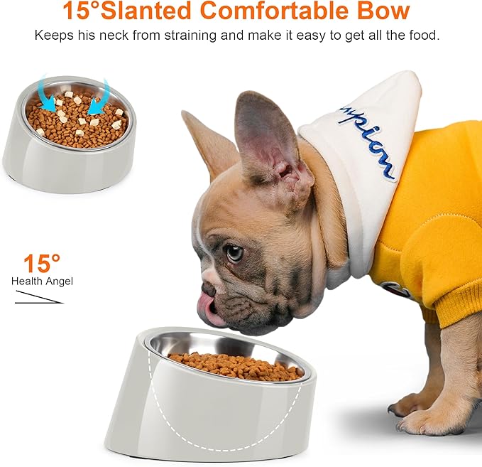 Tilted Dog Bowl Non-Slip & Non-Spill Pet Feeder with Elevated Detachable Melamine Stand, Easy to Get Food Dog Dish, L/300ml Gray