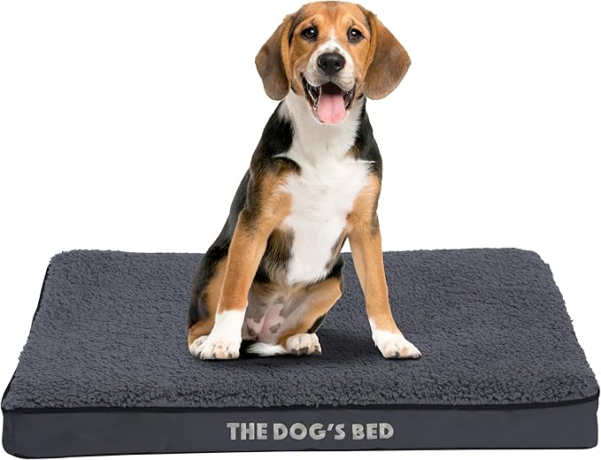 The Dog’s Bed Orthopedic Standard Foam Dog Bed Mattress, Plush Fabric, Grey, Medium