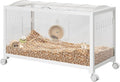 Hamster Cage for 2 Rats, Indoor Guinea Pig Cages, Small Animal Cage, 360° Viewing & Stacked Design Rat Cage for Chinchillas,Syrian Hamster, Gerbil