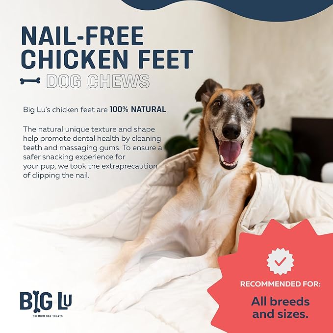 Big Lu – Nail-Free Chicken Feet Dog Chews, (60 Pack) |100% Natural Single-Ingredient Treats, Rawhide-Free, Long-Lasting, Rich in Glucosamine and Chondroitin for Joint Health