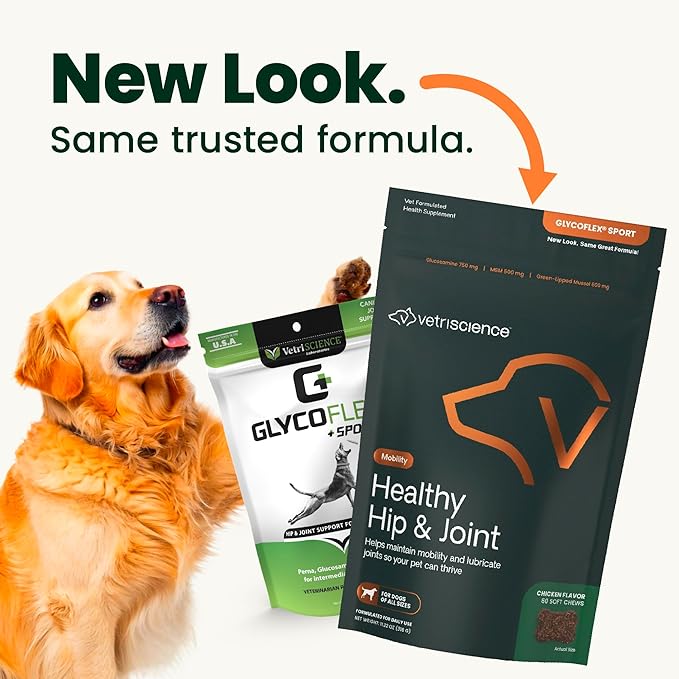 VetriScience Healthy Hip & Joint Chews, GlycoFlex Glucosamine and Green-Lipped Mussel Mobility Support Supplement for Dogs, Promote Play and Protect Joints, Chicken, 60 Count