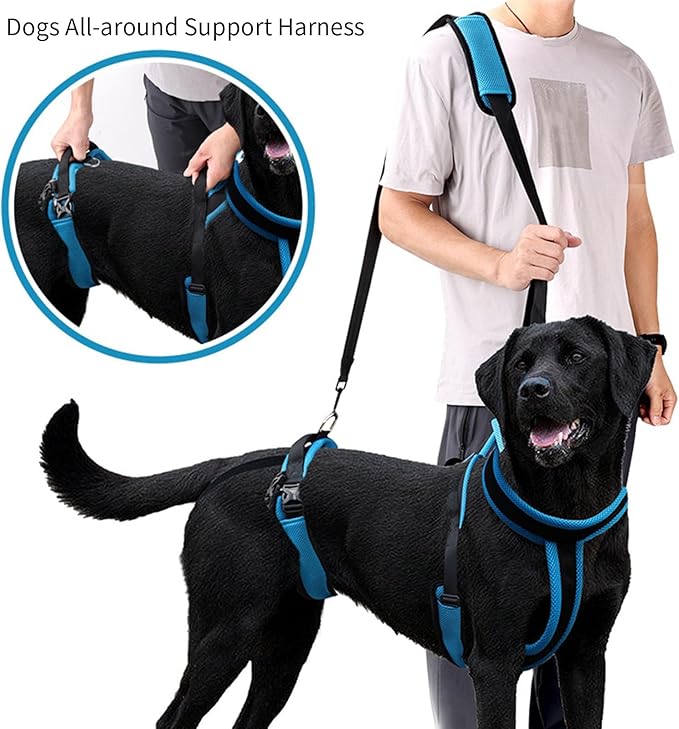Pet Rehabs Strap for Aging Disabled Dog Nonslip Polyester Senior Dog Mobility Tool for Outdoor Walking Gear Senior Pet Rehabilitation Harness