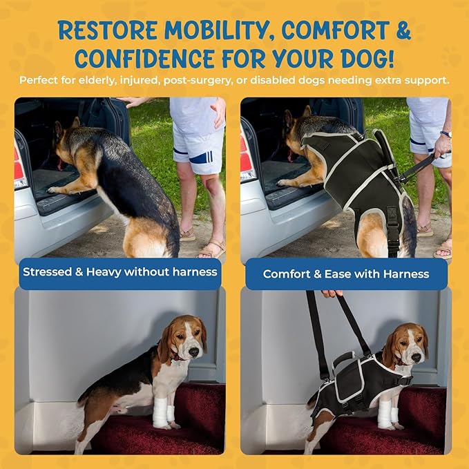 Full Body Dog Lift Harness - Help Large Dogs Up Adjustable Mobility Support Aid for Injured or Senior Dog and Dogs Hind Leg, Black XL