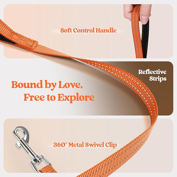 rabbitgoo Dog Harness Small Sized and Leash Set, Step in Soft Light Puppy Vest, Breathable Mesh Pet Harness, Reflective for Safe Easy Walking, Orange S