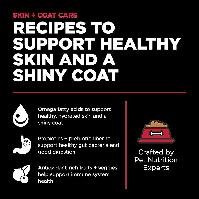 Go! Solutions Skin + Coat Care Lamb Dry Dog Food with Grains, Chicken-Free, Healthy Kibble with Omega-3s & 6s for Soft, Shiny Fur, for Puppies, Adults, & Seniors, 12 lb Bag