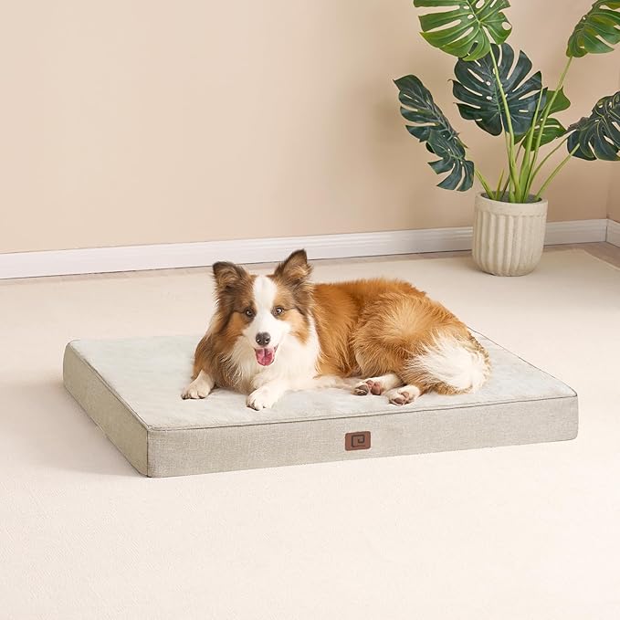 EHEYCIGA Orthopedic Dog Bed Waterproof 41"x27", Memory Foam Pet Bed for XLarged Dogs, Washable Pet Mat with Removable Cover, Beige