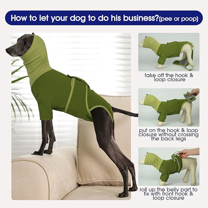 FUAMEY Recovery Suit for Dogs, Neck Wound Cover Onesie for Surgery Female Dog, Prevent Licking Surgical Suits for Male Dogs After Neutering, Cone Alternative After Surgery, Bichon Frise (Green, S)