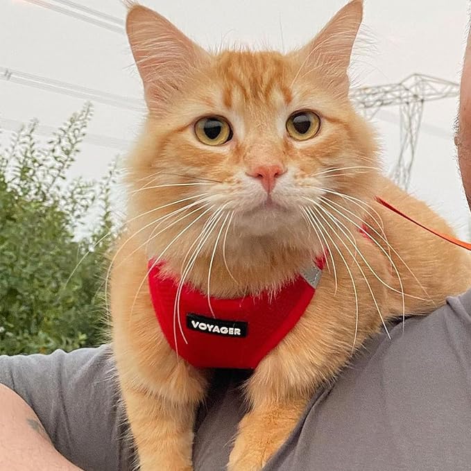 Voyager Step-in Pet Harness - All Weather Mesh, Adjustable Step in Harness for Cats and Dogs by Best Pet Supplies - 307S Red, XXXS