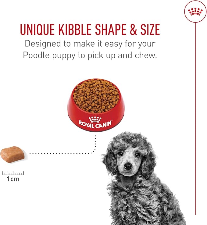 Royal Canin Breed Health Nutrition Poodle Puppy Dry Dog Food, 2.5 lb Bag