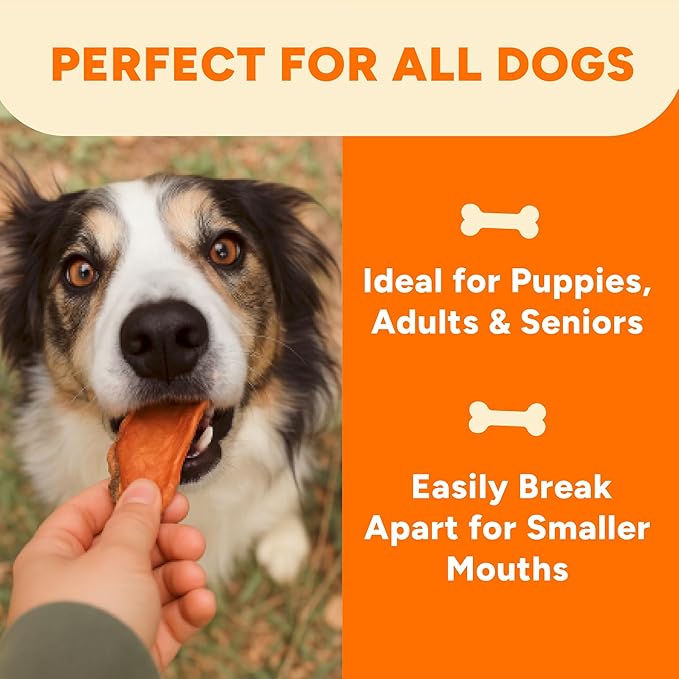Gaines Family Farmstead Sweet Potato Chews for Dogs, 4 Pack - 32 oz Bags – Single Ingredient Sweet Potato Dog Treats, High Fiber, Grain-Free, Rawhide Alternative, Vitamin-Rich, Made in The USA