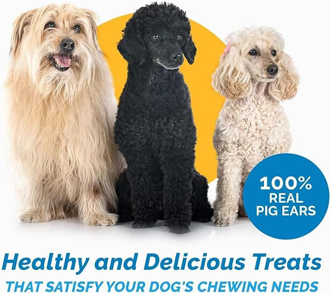 123 Treats Pig Ears for Dogs - (12 Count) 100% Natural, Long Lasting & Highly Digestible Chew Treats, Single Ingredient, Slow Baked, Great for Puppy, Large & Medium Dogs