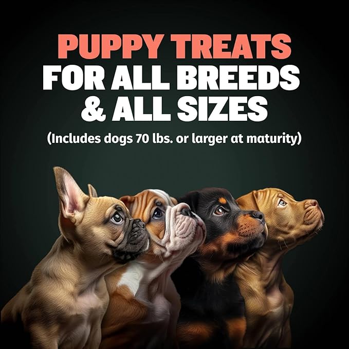Bully Max Puppy Training Treats - Soft Chews Dog Food Supplements & Vitamins for Brain, Skin & Coat Health - Glucosamine & Chondroitin for Joint Support – Multivitamin Food Topper for Puppies - 3 Bags