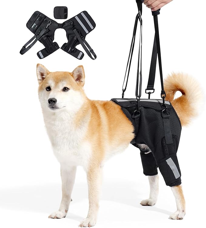 Pet Lift Harness for Large Medium Dogs, Carrier Sling Hind Leg Support Harness, Doggie Hip Dysplasia Support Brace, Reflective Pet Auxiliary Harness for Elderly Injured Arthritic Senior Disabled Dogs
