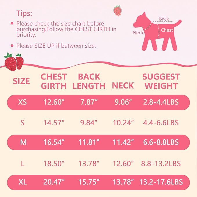Dog Dress Clothes for Small Dogs Girl with Leash Ring & Bow Cat Dog Outfit Strawberry Printed Pet Cat Apparel Sweet Ruffled Chihuahua Yorkie Puppy Clothes