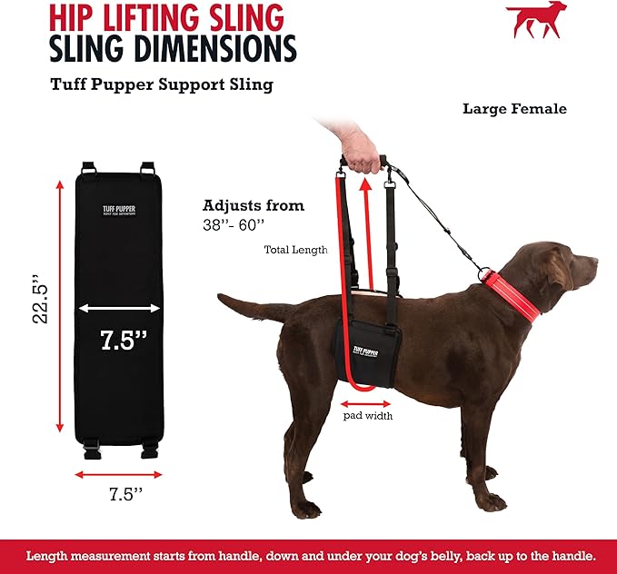 Tuff Pupper Dog Sling Hip Harness | Rear Lift Support for Senior & Injured Dogs | Adjustable Mobility Aid | Strong Padded Handle | Comfortable Design | Hip & Hind Leg Assistance (Large, Female)