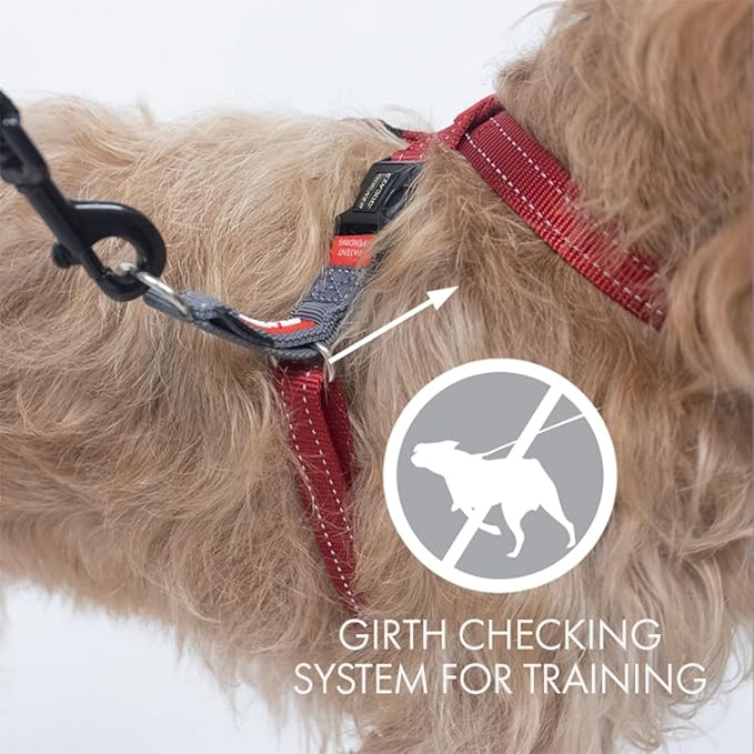EzyDog Crosscheck No Pull Dog Training Harness – 2-in-1 Escape Proof Reflective Dog Harness for Easy Controlled Walks (M, Red)