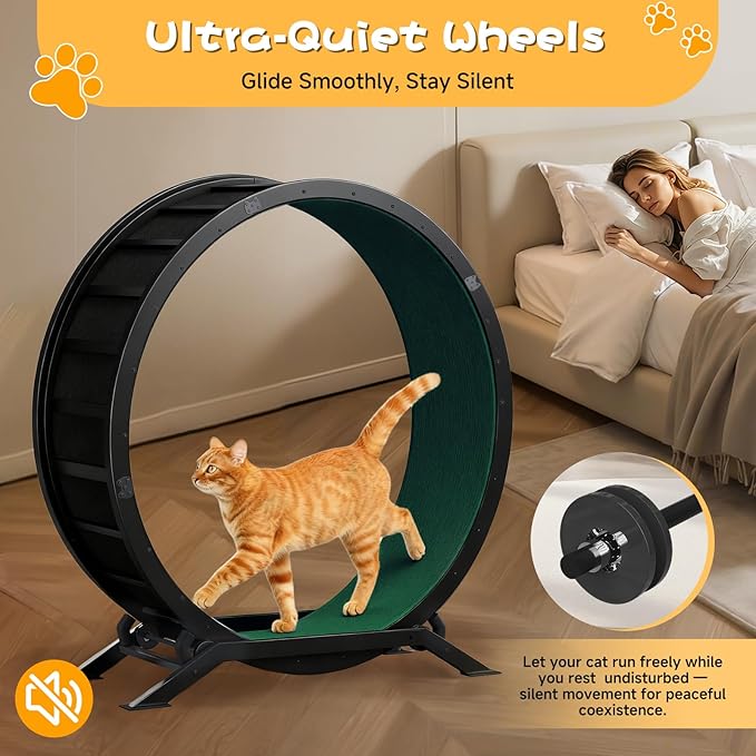GTRACING Cat Wheels, 40" Diameter, Large Cat Exercise Wheel for Indoor Cats cat Treadmill Metal with Detachable Carpet & Teaser/Stickers, Ultra-Quiet Scroll Wheel with Latch, Safe and Stable, Green