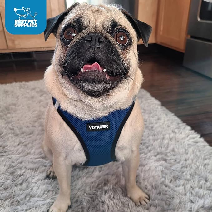 Best Pet Supplies Voyager Step-in Air Harness - All Weather Mesh, Reflective, No Pull Harness for Dogs, Cats - Secure with Hook & Loop Fastener, Buckle, Double D-Rings - Royal Blue/Black Trim, S