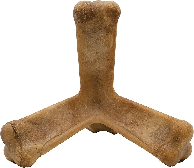 N-Bone Nbone 115097 Quado in Pumpkin, Large (575174) (Pack of 6)