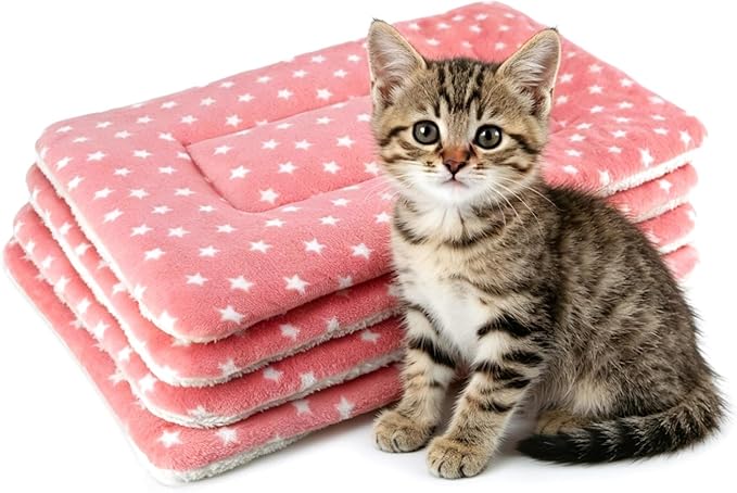 4 Pack Cat Bed Mat, 19" x 13" Soft Fluffy Flannel Small Pet Blanket, Washable Sleeping Pad for Indoor Cats, Kittens, Puppies, Star Print - Grey