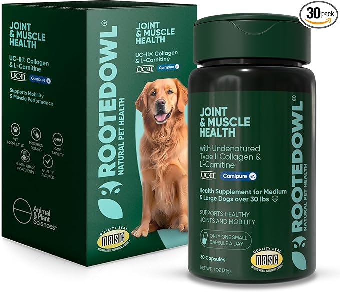Rooted Owl Joint and Muscle Support for Large Dogs (Over 30 Lbs) - Supplement with UC-II Type II Collagen and L-Carnitine - 30 Count