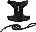 Voyager Escape-Proof Step-in Lock Cat Harness & 5ft Neoprene-Handle Leash Set All-Weather Mesh with Reflective Stitching for Small to Large Cats by Best Pet Supplies, Black, XXXS
