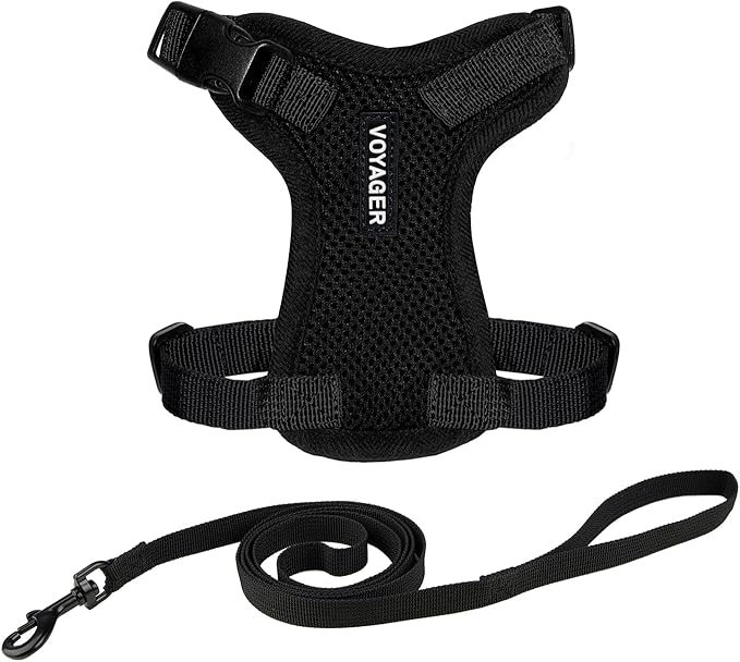 Voyager Escape-Proof Step-in Lock Cat Harness & 5ft Neoprene-Handle Leash Set All-Weather Mesh with Reflective Stitching for Small to Large Cats by Best Pet Supplies, Black, S