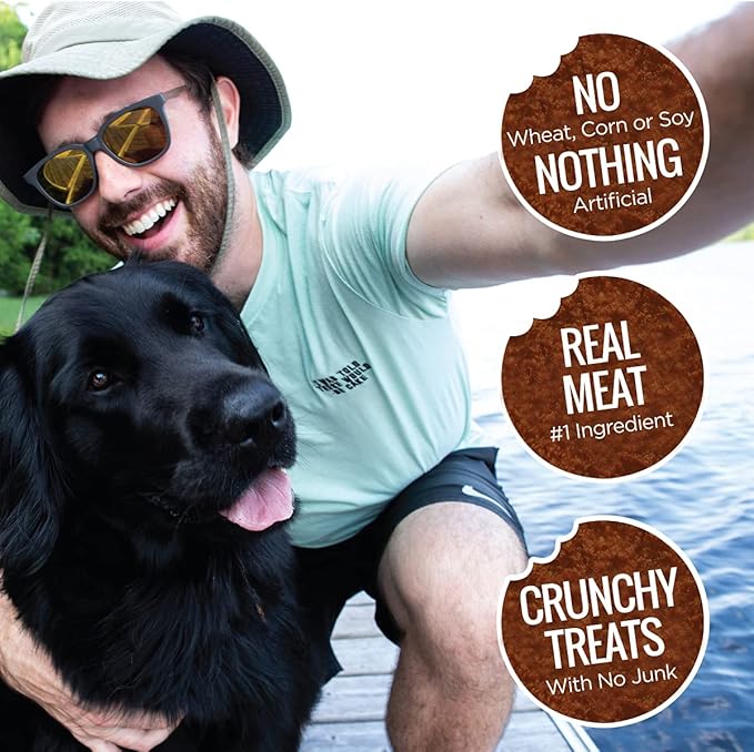 Smart Cookie All Natural Dog Treats - Healthy Skin & Coat Salmon Dog Treats - Ideal for Sensitive Stomachs or Itchy, Allergic, Dry Skin - Dehydrated, Crunchy, Human-Grade, Made in USA - 8oz, Pack of 3
