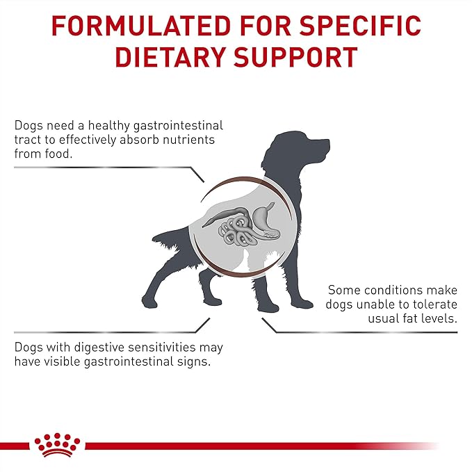 Royal Canin Gastrointestinal Low Fat LF Dog Food 28.6 lb