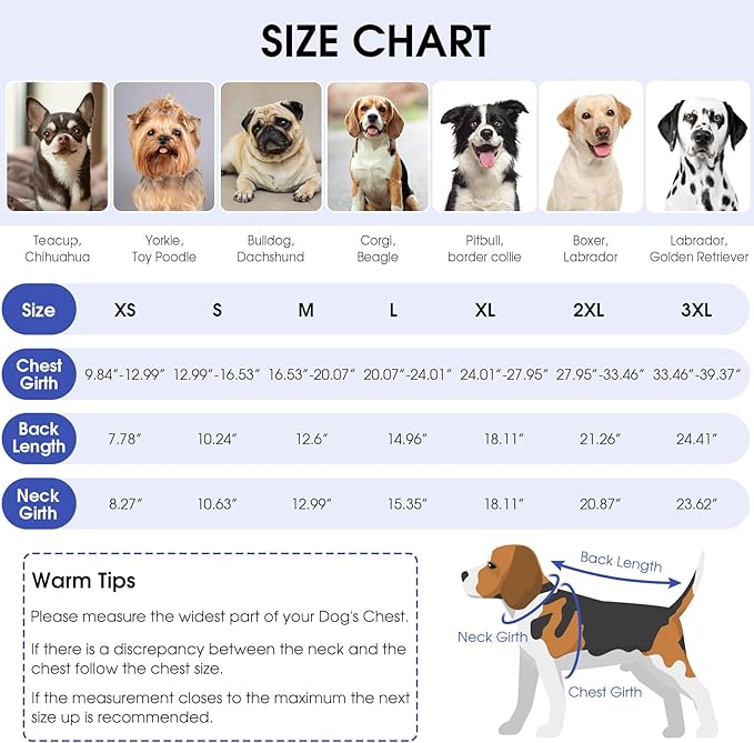 Queenmore Recovery Suit for Dogs Cats After Surgery, Dog Surgical Recovery Suit, Professional Pet Surgical Siut, Prevent Licking Dog Body Suits, Surgical Clothes for Abdominal Wounds, Sky Blue,2XL