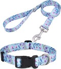 Dog Collar and Leash Set, Floral Print, Adjustable Collar for Medium Dogs, Bicolor Flower Set