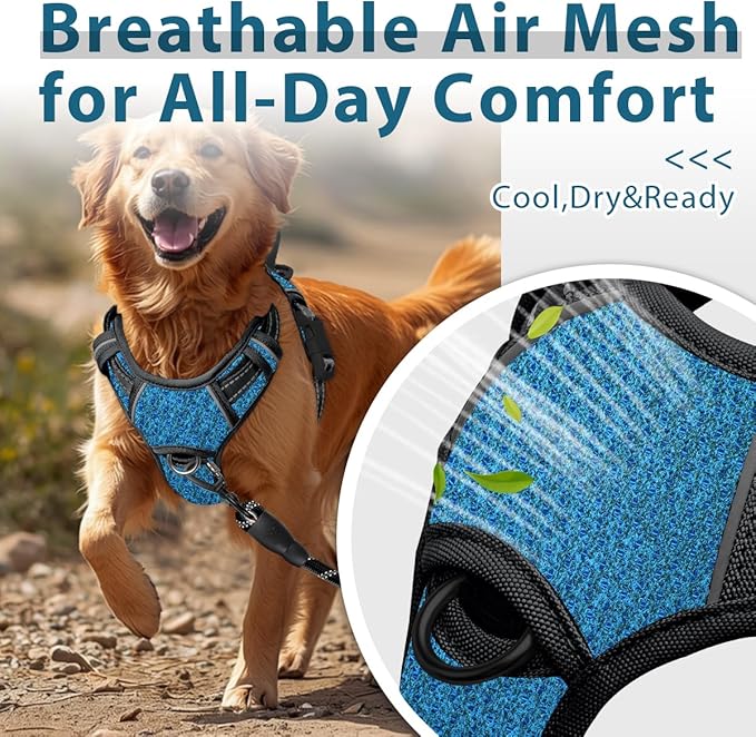 BARKBAY Dog Harness No Pull with ID Tag Pocket - Heavy Duty, Reflective, Easy Control for Large Dogs(Blue/Black,XL)