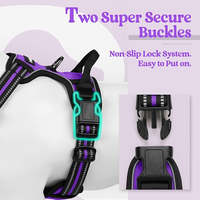 rabbitgoo Dog Harness No Pull with 2 Leash Clips, Adjustable Soft Padded, Reflective Oxford No Choke Pet Vest with Easy Control Handle for Large Dogs, Purple, XL